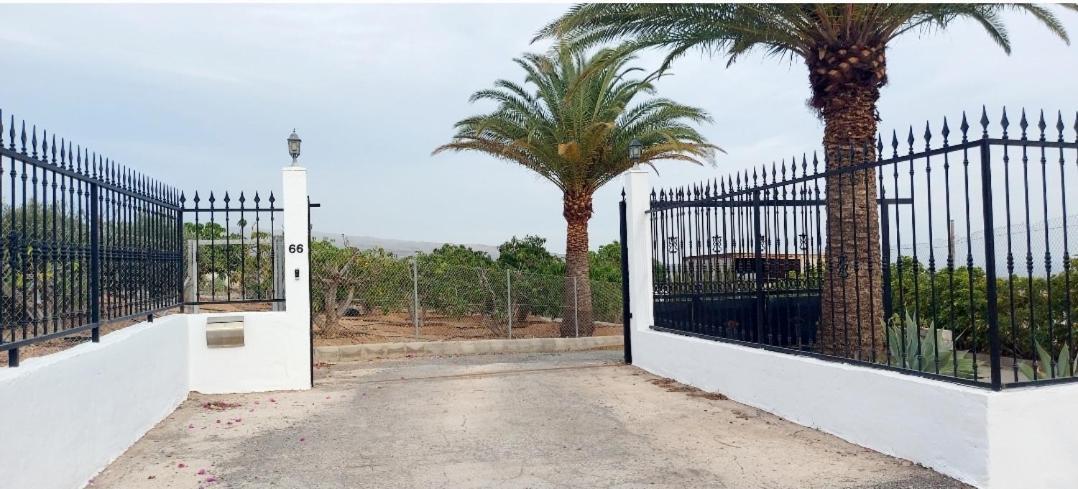 The Black Horse Canarias - Adults Only มาสปาโลมาส ห้อง รูปภาพ